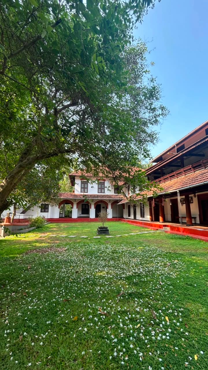 Blossom scattered across the courtyard lawn beneath an old tree at The Heritage 1866