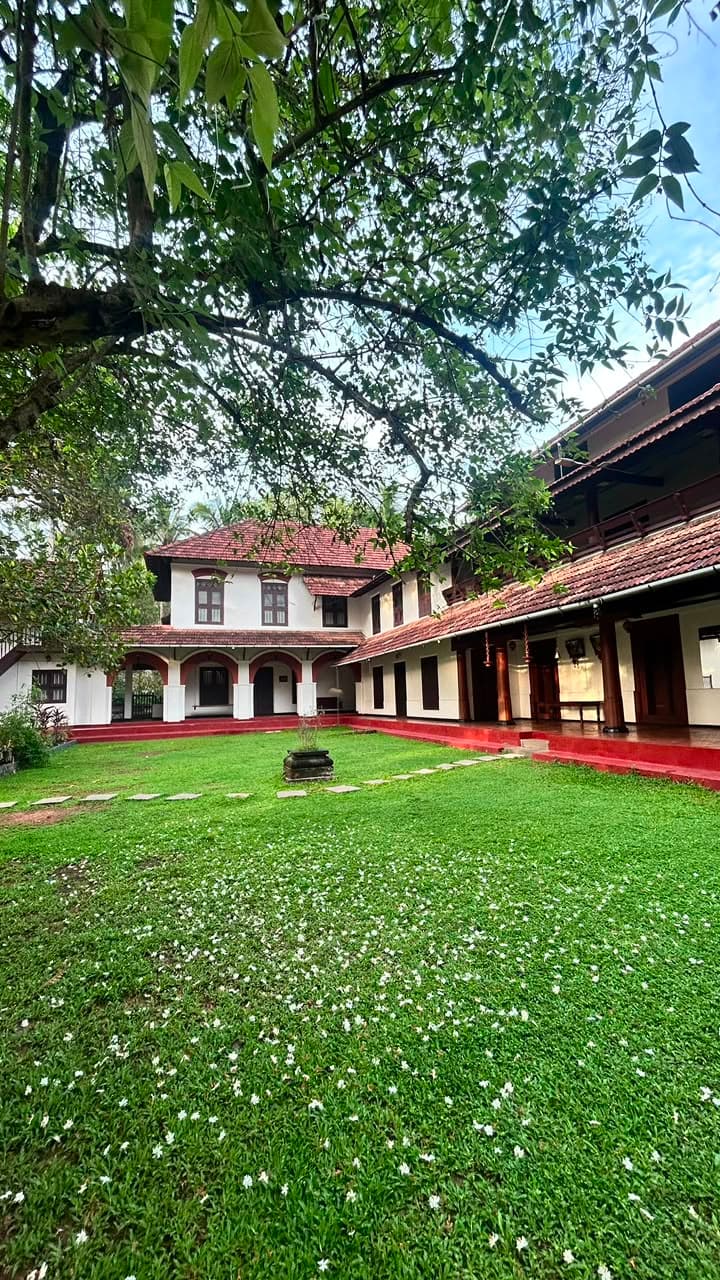 The courtyard of The Heritage 1866 framed by the branches of an old flowering tree